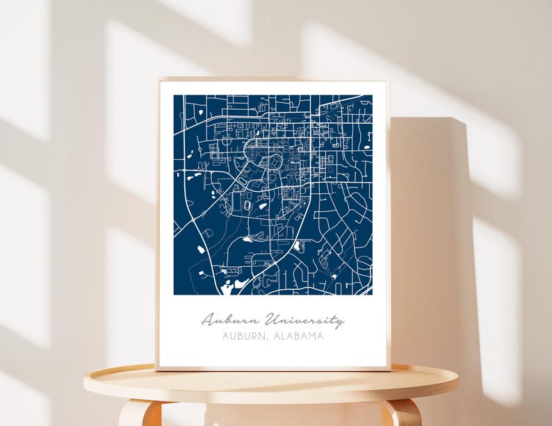 Medical School Custom Map, Personalized Med Student Gift, Physician Assistant, Pharmacy Student, Future Doctor Gift, Med School Graduation image 13
