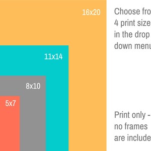 May include: A graphic showing four different print sizes: 5x7 inches, 8x10 inches, 11x14 inches, and 16x20 inches. The text "Choose from 4 print sizes in the drop down menu." and "Print only - no frames are included." is also shown.