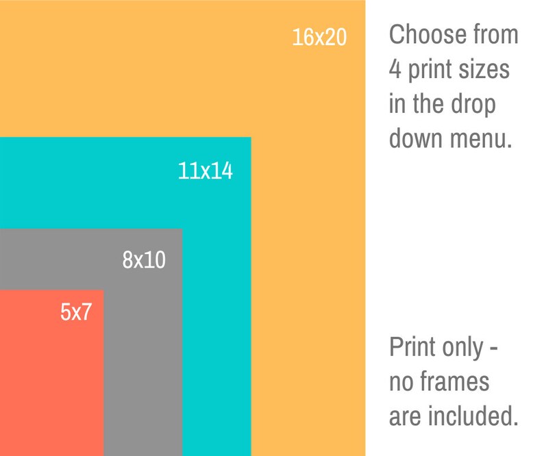 May include: A graphic showing four different print sizes: 5x7 inches, 8x10 inches, 11x14 inches, and 16x20 inches. The text "Choose from 4 print sizes in the drop down menu." and "Print only - no frames are included." is also shown.