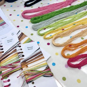 K&ouml;nnte beinhalten: Mehrere Stickgarnstr&auml;nge in Pink, Gr&uuml;n, Gelb, Orange und Schwarz, die in Reihen angeordnet sind. Zwei wei&szlig;e, rechteckige Garnsortierkarten mit der Aufschrift Thread Sorter sind vorhanden und weisen gestanzte L&ouml;cher mit verschiedenen Garnen auf.
