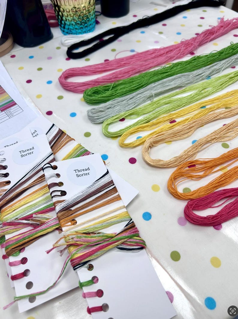K&ouml;nnte beinhalten: Mehrere Stickgarnstr&auml;nge in Pink, Gr&uuml;n, Gelb, Orange und Schwarz, die in Reihen angeordnet sind. Zwei wei&szlig;e, rechteckige Garnsortierkarten mit der Aufschrift Thread Sorter sind vorhanden und weisen gestanzte L&ouml;cher mit verschiedenen Garnen auf.