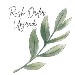 May include: A watercolor illustration of a green leafy branch with the text "Rush Order Upgrade" in black cursive lettering.