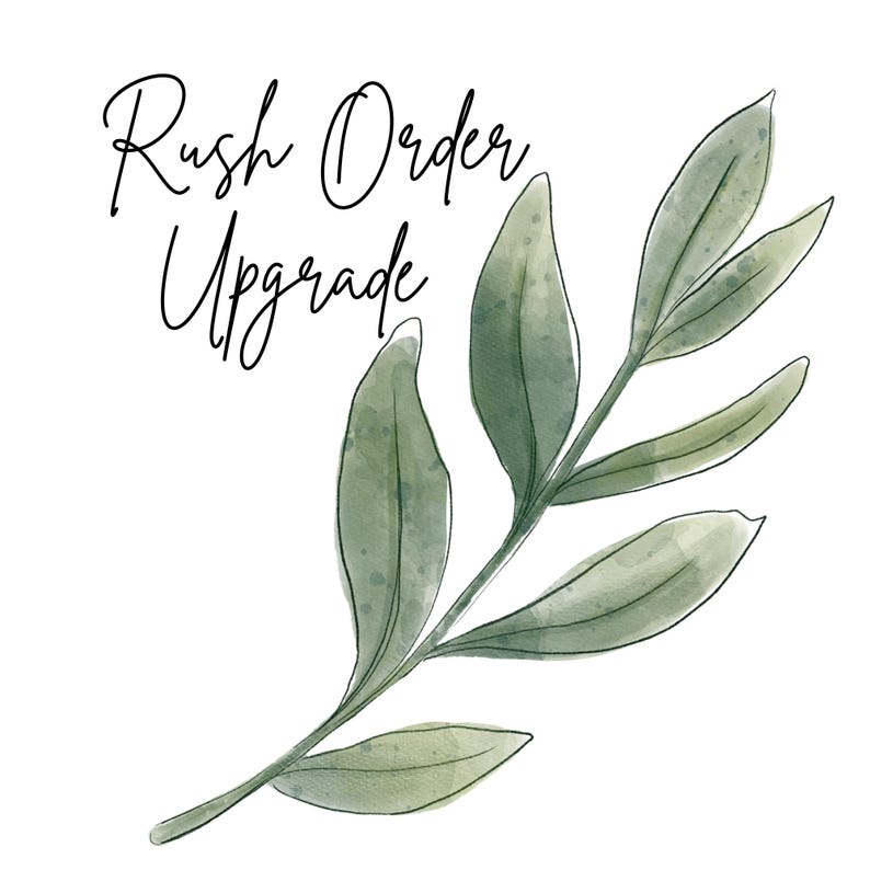 May include: A watercolour illustration of a green leafy branch with the text "Rush Order Upgrade" in black cursive lettering.