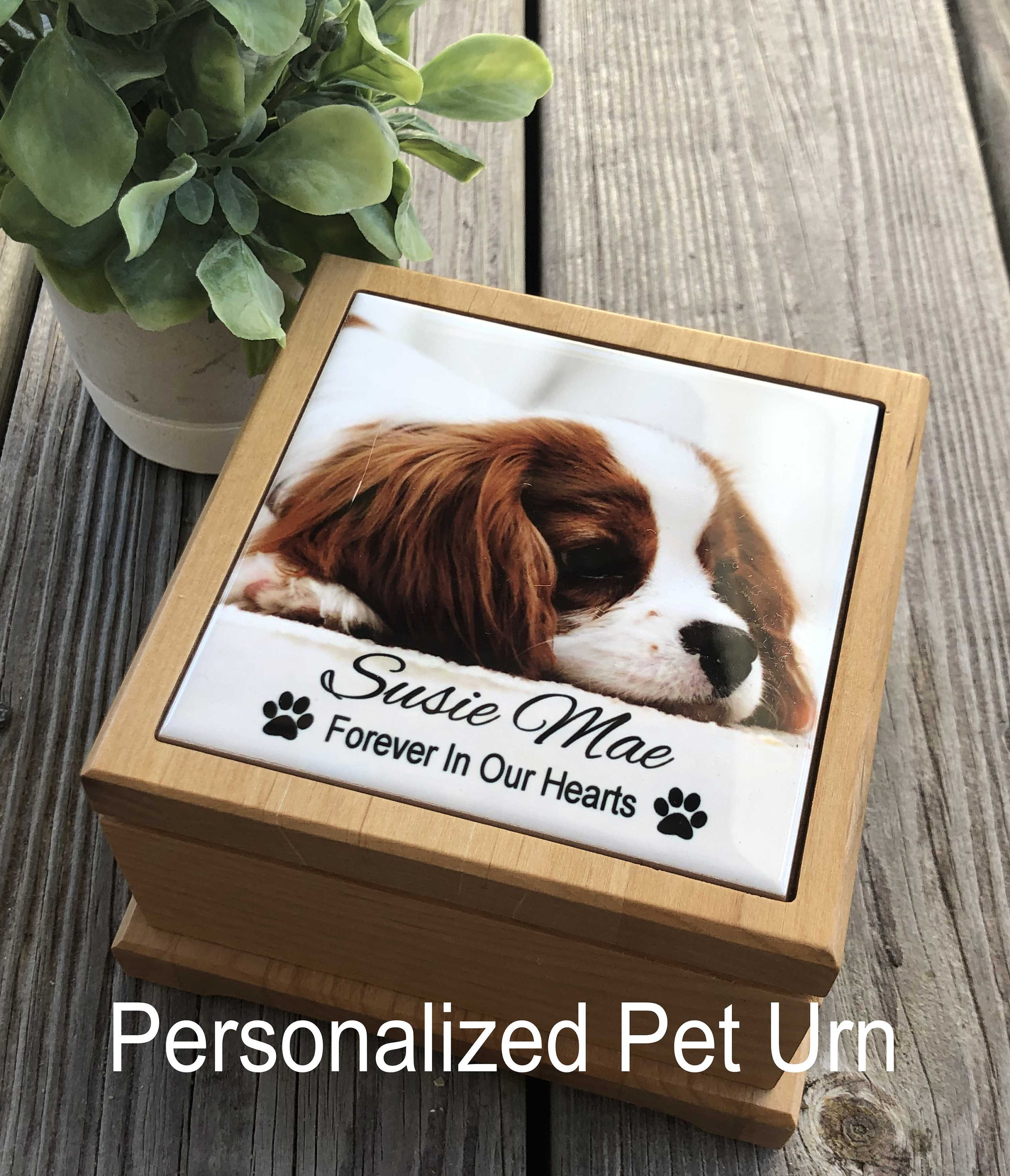 Personalized Pet Urn: Engraved Photo Memorial, Solid Alder Wood