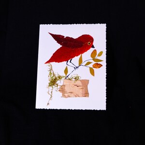 Carte d’oiseau simple