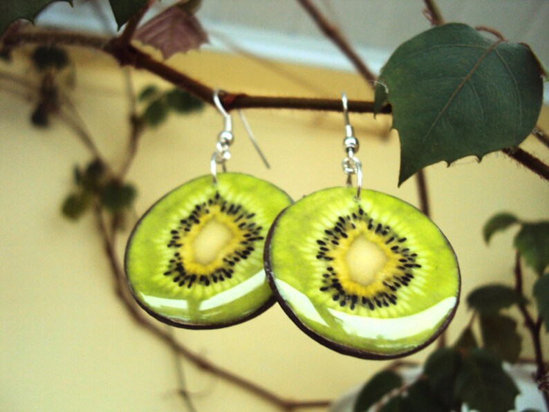 Kiwi Earrings Fruit Slice Earrings Epoxy Resin Jewelry Gift Etsy
