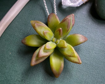 Succulent Pendant