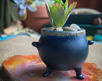 Witch’s Cauldron Mini Planters