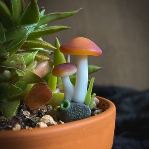 Fairy Garden Mushrooms Handmade Glass, aquarium or terrarium decor image 3