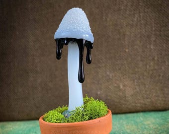 Ink Cap Fairy Garden Mushroom