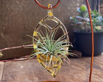 Silver-fumed Air Plant Ornament