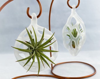 Air Plant Ornaments Handmade Glass