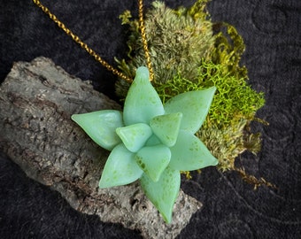 Small Succulent Pendant