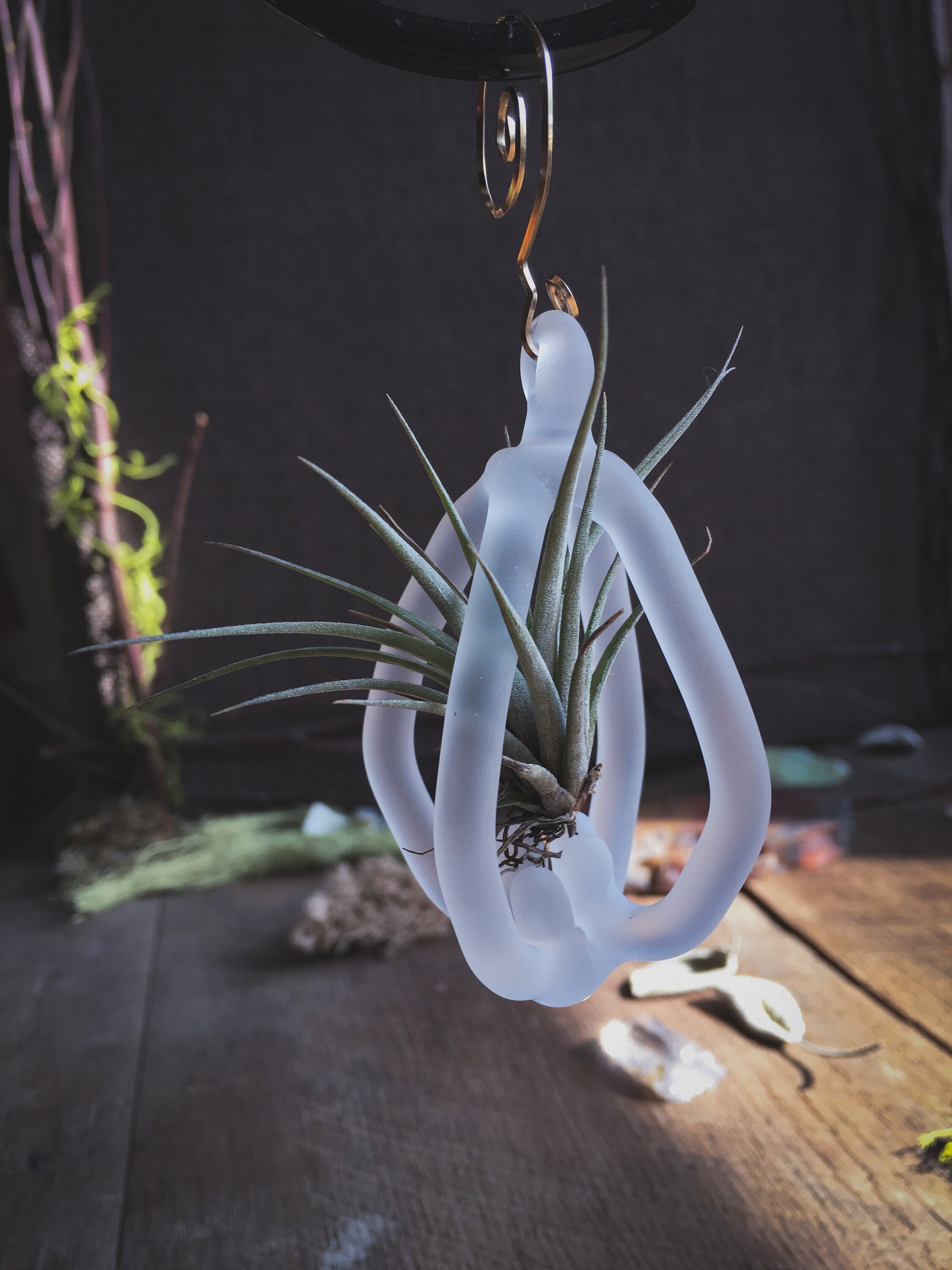 Air Plant Ornament, handmade glass and living plant