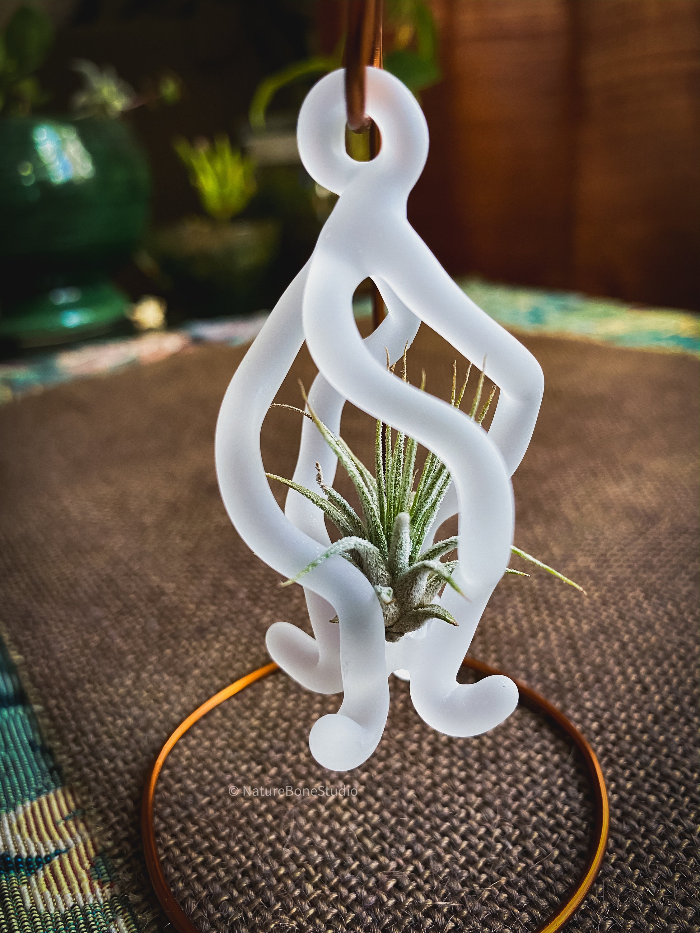 Air Plant Ornament, handmade glass and living plant