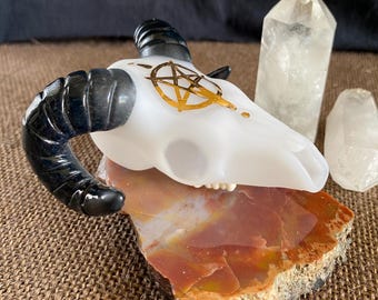 Functional Ram Skull with gold pentagram