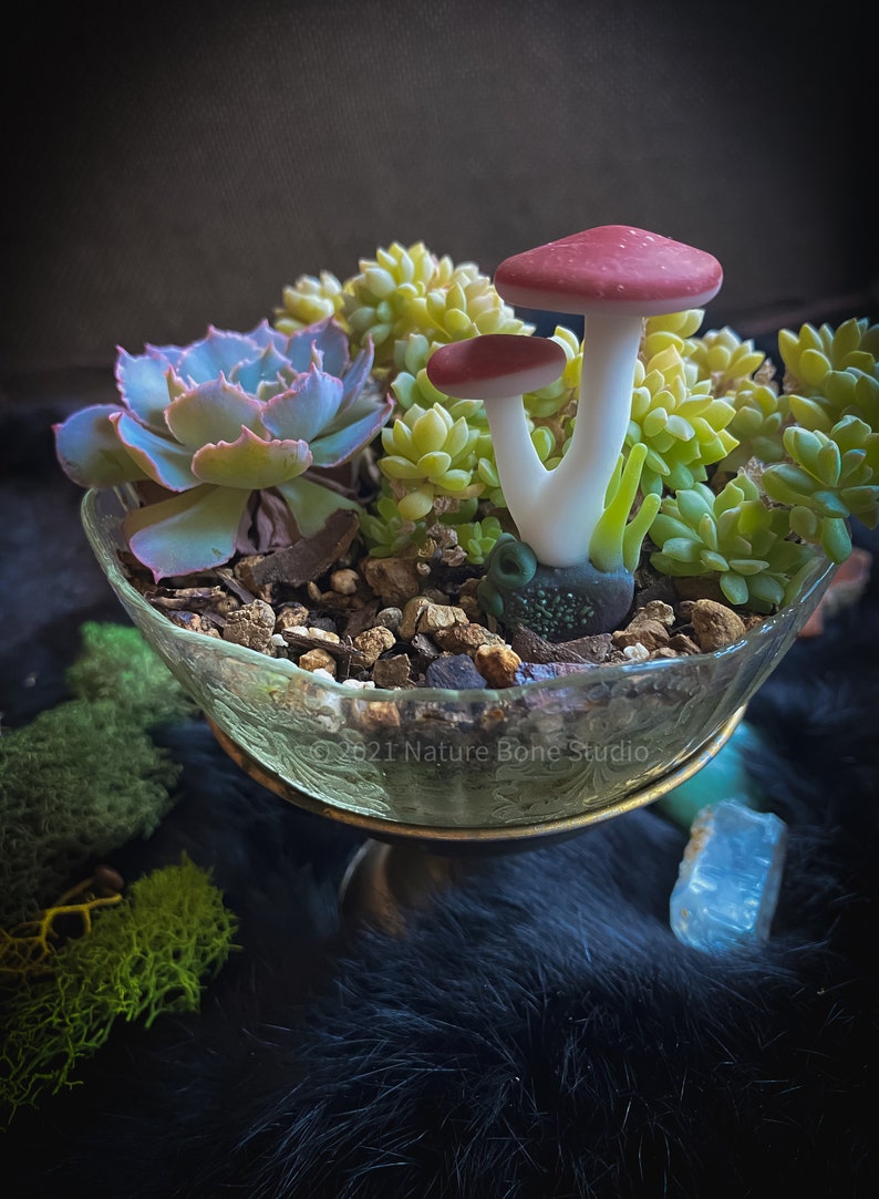 Fairy Garden Mushrooms Handmade Glass, aquarium or terrarium decor image 2