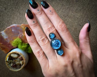 Blue Galaxy Cluster Ring