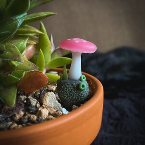 Fairy Garden Mushrooms Handmade Glass, aquarium or terrarium decor image 9