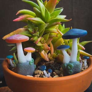 Fairy Garden Mushrooms Handmade Glass, aquarium or terrarium decor image 1