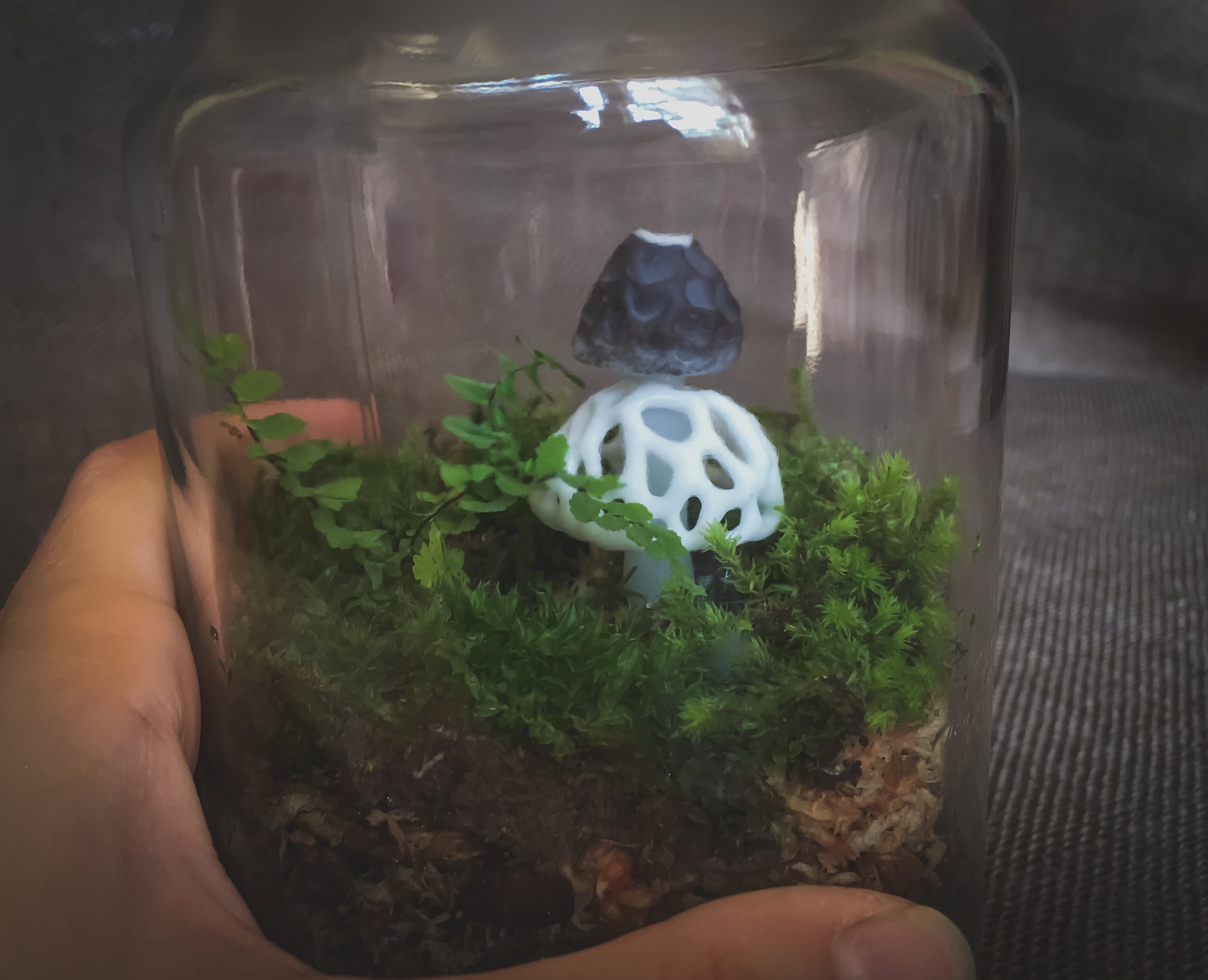 Handmade Glass Terrarium Mushroom Bridal Veil Mushroom Handmade Glass Terrarium Mushroom Bridal Veil Mushroom