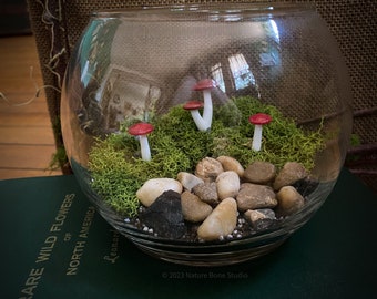 Red Mushroom Terrarium Bowl