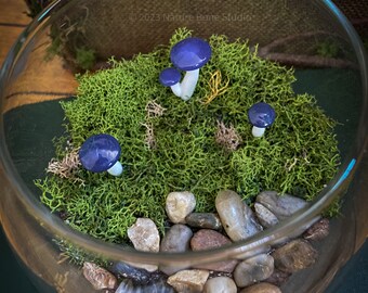 Purple Mushroom Terrarium Bowl