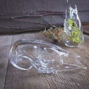 Deer Skull Bottle, hand sculpted blown glass image 4