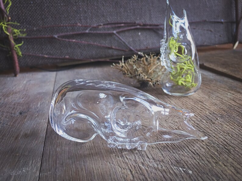 Deer Skull Bottle, hand sculpted blown glass image 4