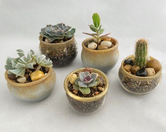 Sparkly Glass Mini Planters