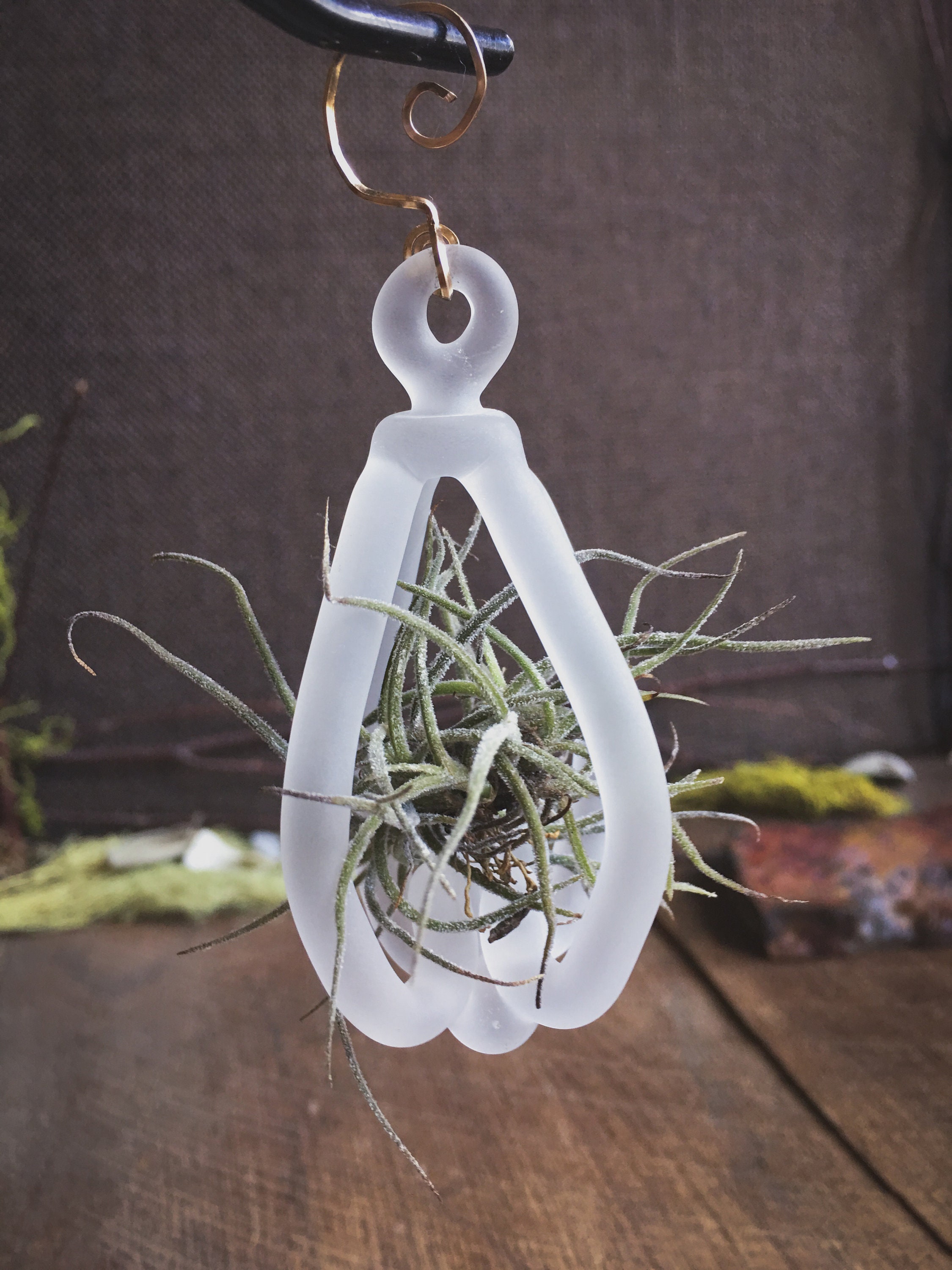 Air Plant Ornament, handmade glass and living plant