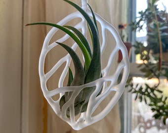 Large Frosted Air Plant Ornament