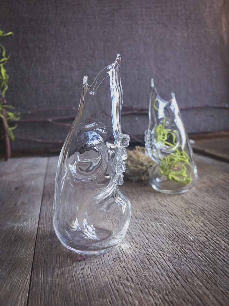 Deer Skull Bottle, hand sculpted blown glass image 3