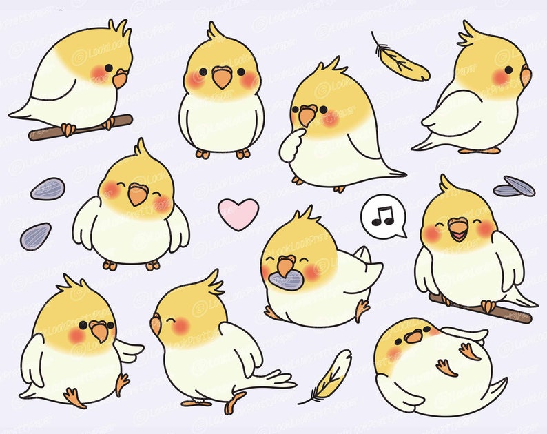 Premium Vector Clipart Kawaii Cockatiel Cute Cockatiel - Etsy UK