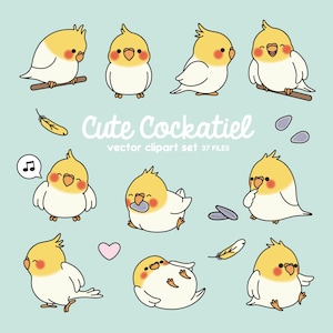 Premium Vector Clipart - Kawaii Cockatiel - Lindo Cockatiel Clipart Set - Vectores de alta calidad - Descarga instantánea - Kawaii Clipart