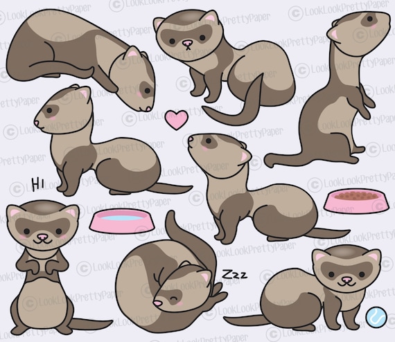 Premium Vector Clipart Kawaii Ferret Cute Ferrets Clipart - Etsy