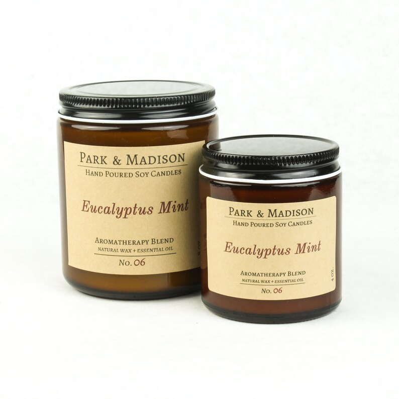 Eucalyptus Mint Soy Candle Essential Oil Candle Etsy