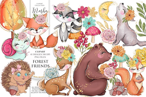 Bear clipart Forest friends clipart Fox clipart Watercolor forest friends graphic collection Raccoon clipart Watercolor animals clipart