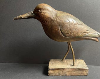 A Decoy Bird of Immense Beauty and Quite a Bit of Age