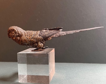 Antique Cold Painted Austrian Bronze Budgerigar - Such a Pretty Boy