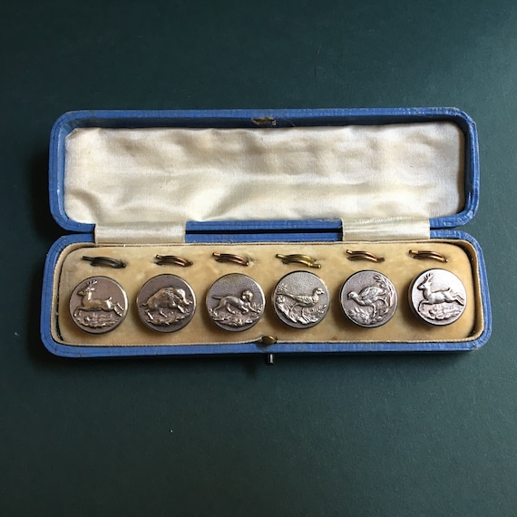 Just Wonderful Early 1900s Cased Set of Buttons Engraved with Animals