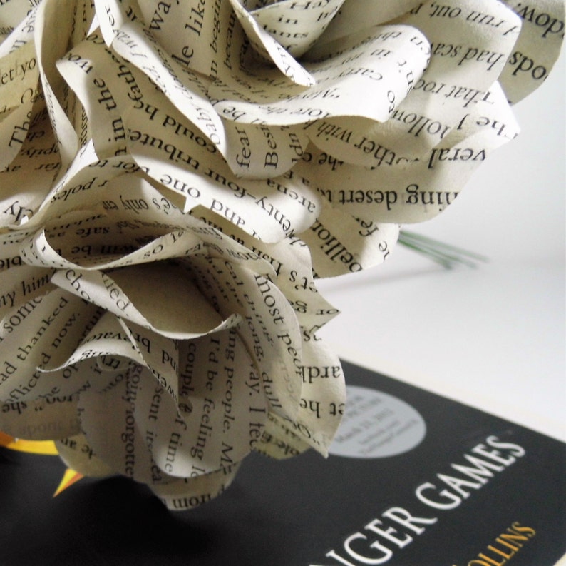 Essay on the hunger games book