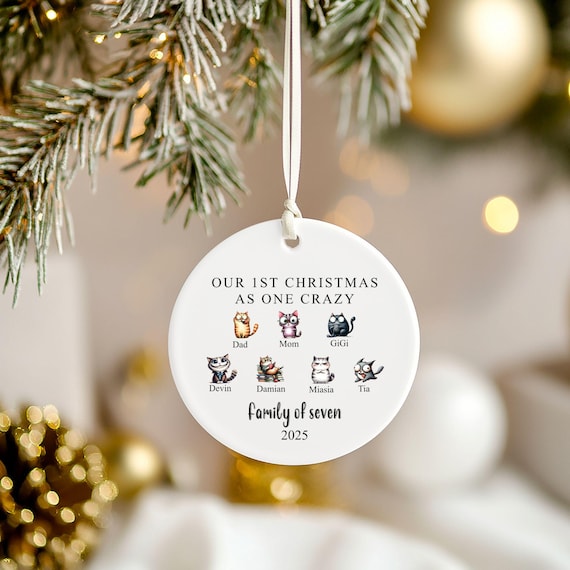 Family of 7 Funny Christmas Ornament, Christmas Gift, First Christmas, Family Keepsake, Funny, Custom Names, Printed