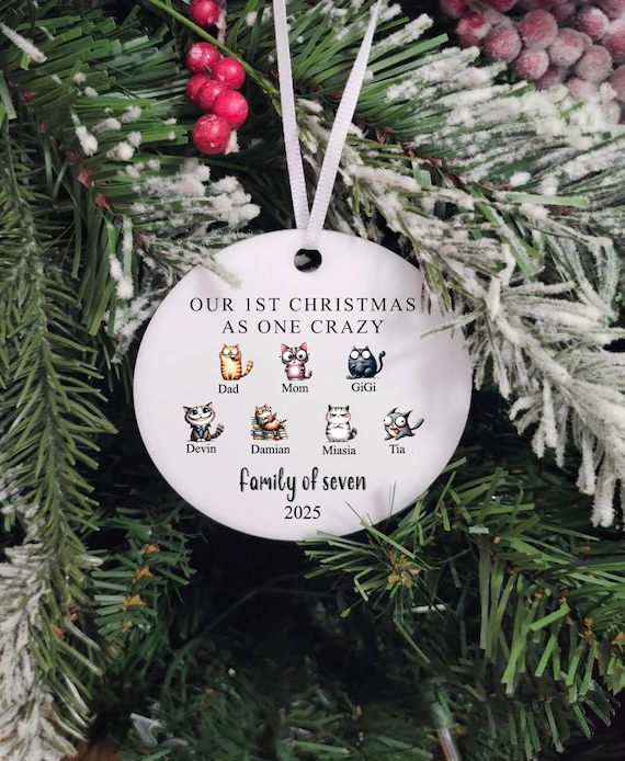 Family of 7 Funny Christmas Ornament, Christmas Gift, First Christmas, Laser Cut, Family Keepsake, Funny, Custom Names, Printed