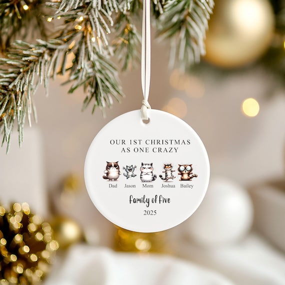Family of 5 Funny Christmas Ornament, Gift, First Christmas, Family Keepsake, Funny, Custom Names, Printed