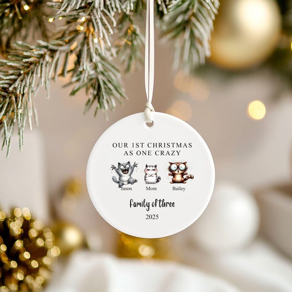Family of 3 Funny Christmas Ornament, Christmas Gift, First Christmas, Family Keepsake, Funny, Custom Names, Printed
