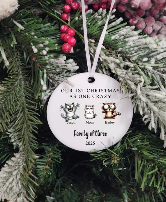 Family of 3 Funny Christmas Ornament, Christmas Gift, First Christmas, Laser Cut, Family Keepsake, Funny, Custom Names, Printed