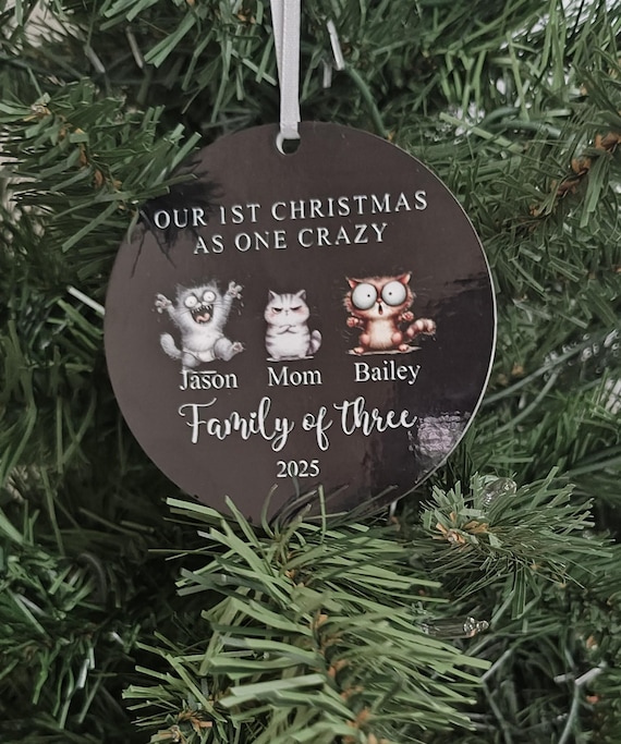 Personalized Family Ornament, Family of 3 or More, Christmas Gift, First Christmas, Laser Cut, Family Keepsake, Funny, Custom Names, Printed