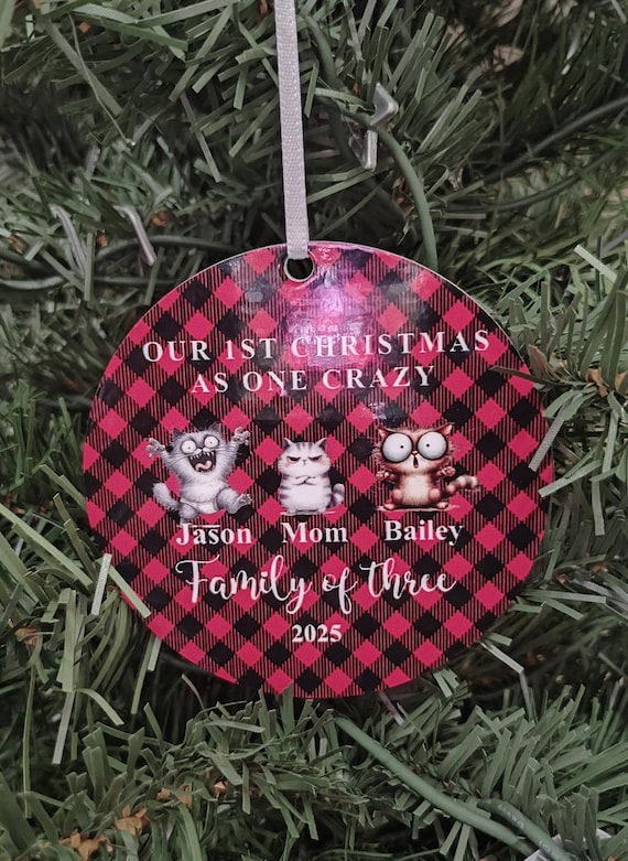 Family of 3 or more Funny Christmas Ornament, Gift, First Christmas, Laser Cut, Family Keepsake, Custom Names, Buffalo Plaid Printed