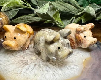 May include: Three carved stone pig figurines in shades of tan, gray, and brown. The pigs are displayed on a polished, multi-colored stone surface, with green foliage in the background. Each pig has small, dark eyes and detailed features.